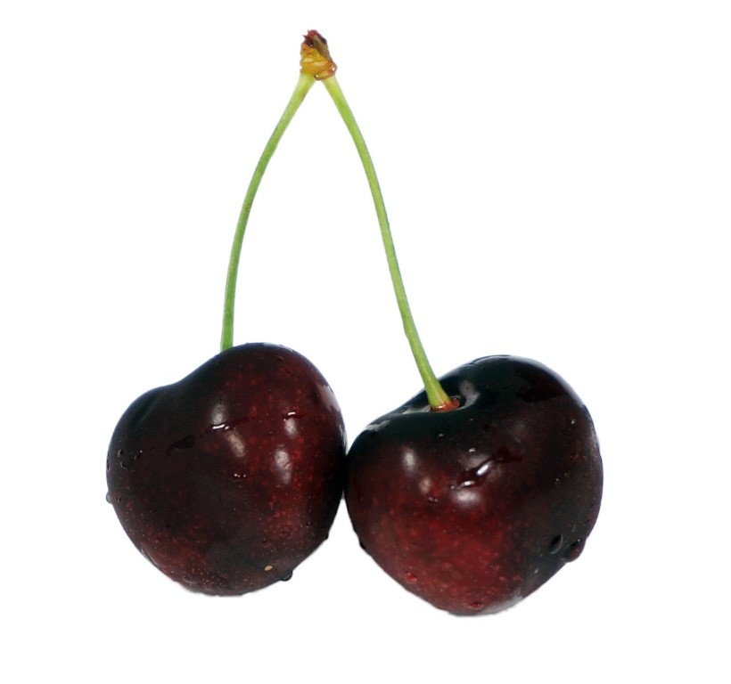 Cherry (1).jpg