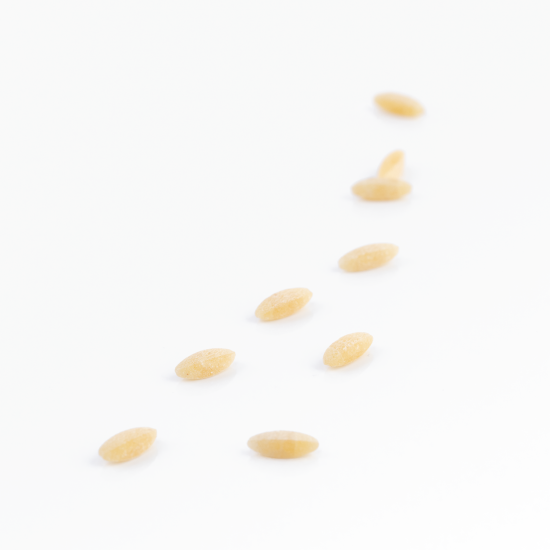 semi_di_annurca_macro3-550x550.png