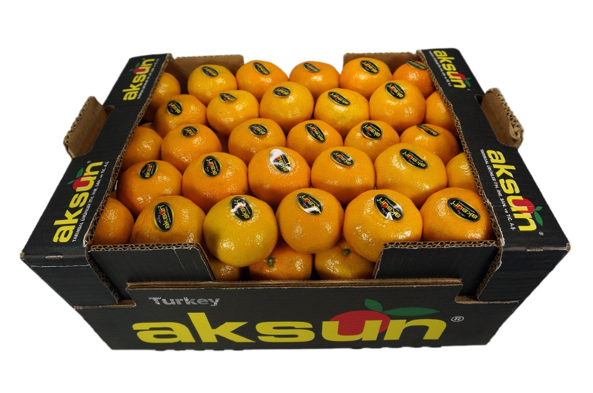 Mandarin 120_2.jpg