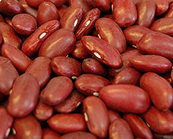 Dark-Red-Kidney-Beans-large.png