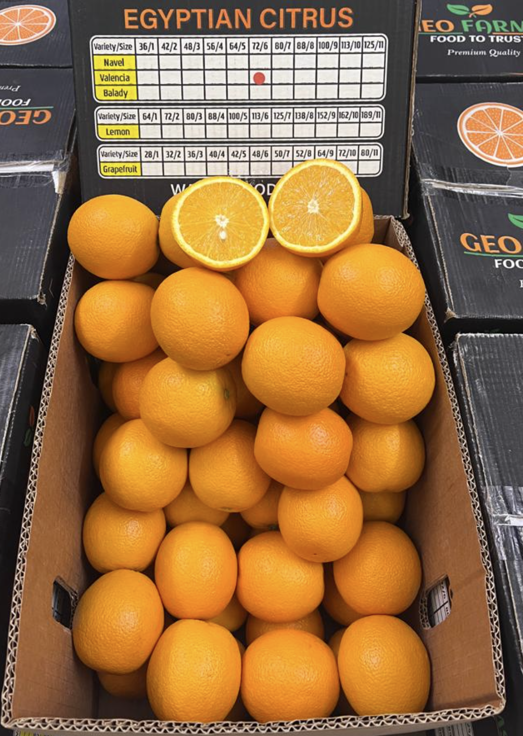 Valencia-Orange-from-Egypt-GreenAgro.png