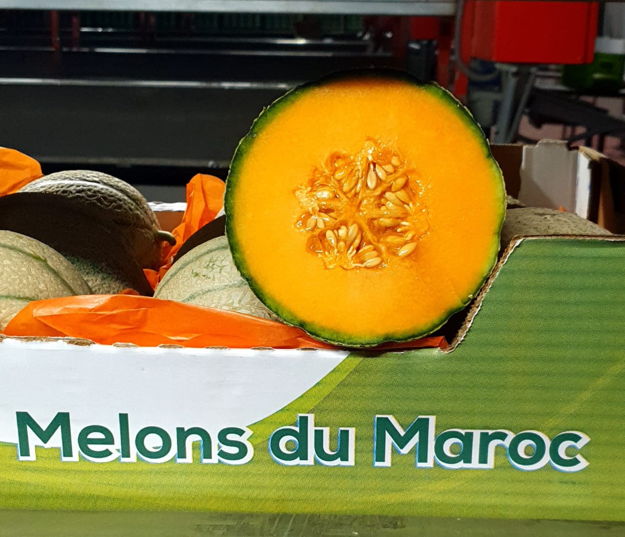 WhatsApp Image 2022-03-21 at 00.43.26.jpeg