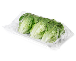 gh-murciana-de-vegetales-lechuga-little-gem-cogollos-3ud.jpg