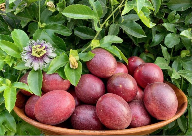 Passion fruit whole.JPG