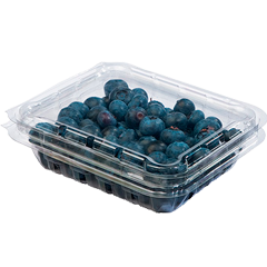 productos-arandanos-presentacion-125-g-clamshell.png