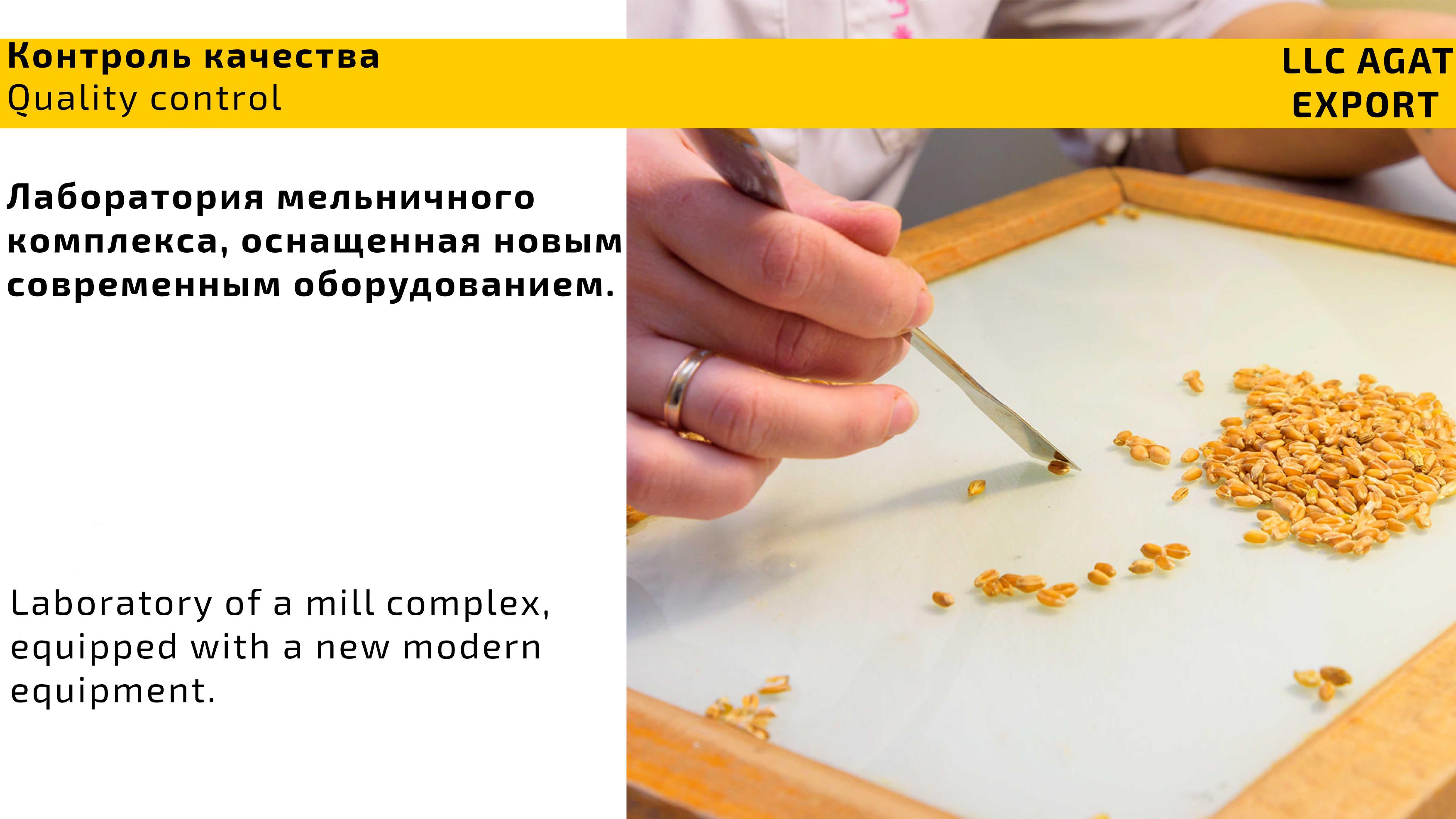 060324 Agat Export Present-изображения-4.jpg