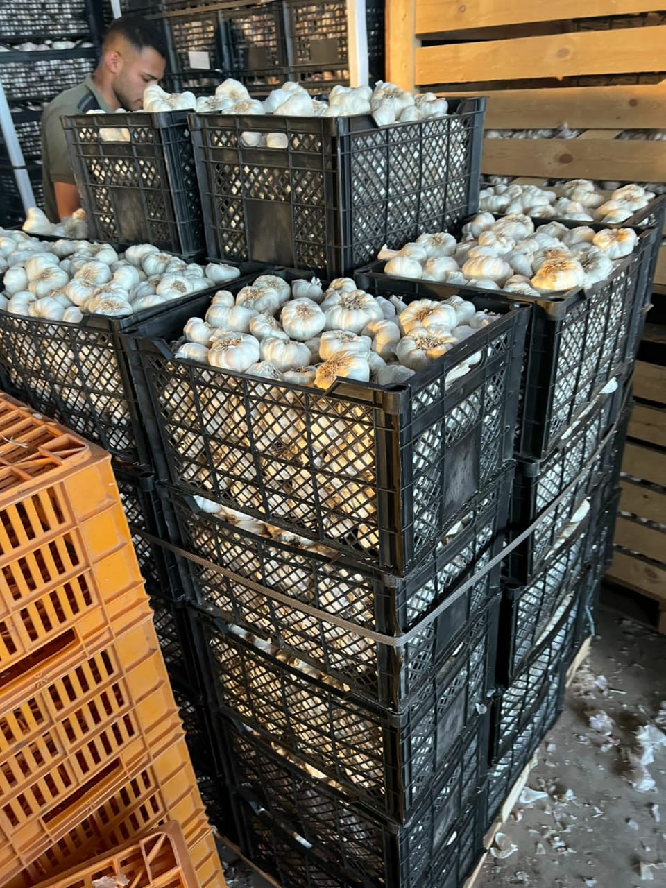 WhatsApp Image 2023-07-28 at 11.48.55 AM (1).jpeg