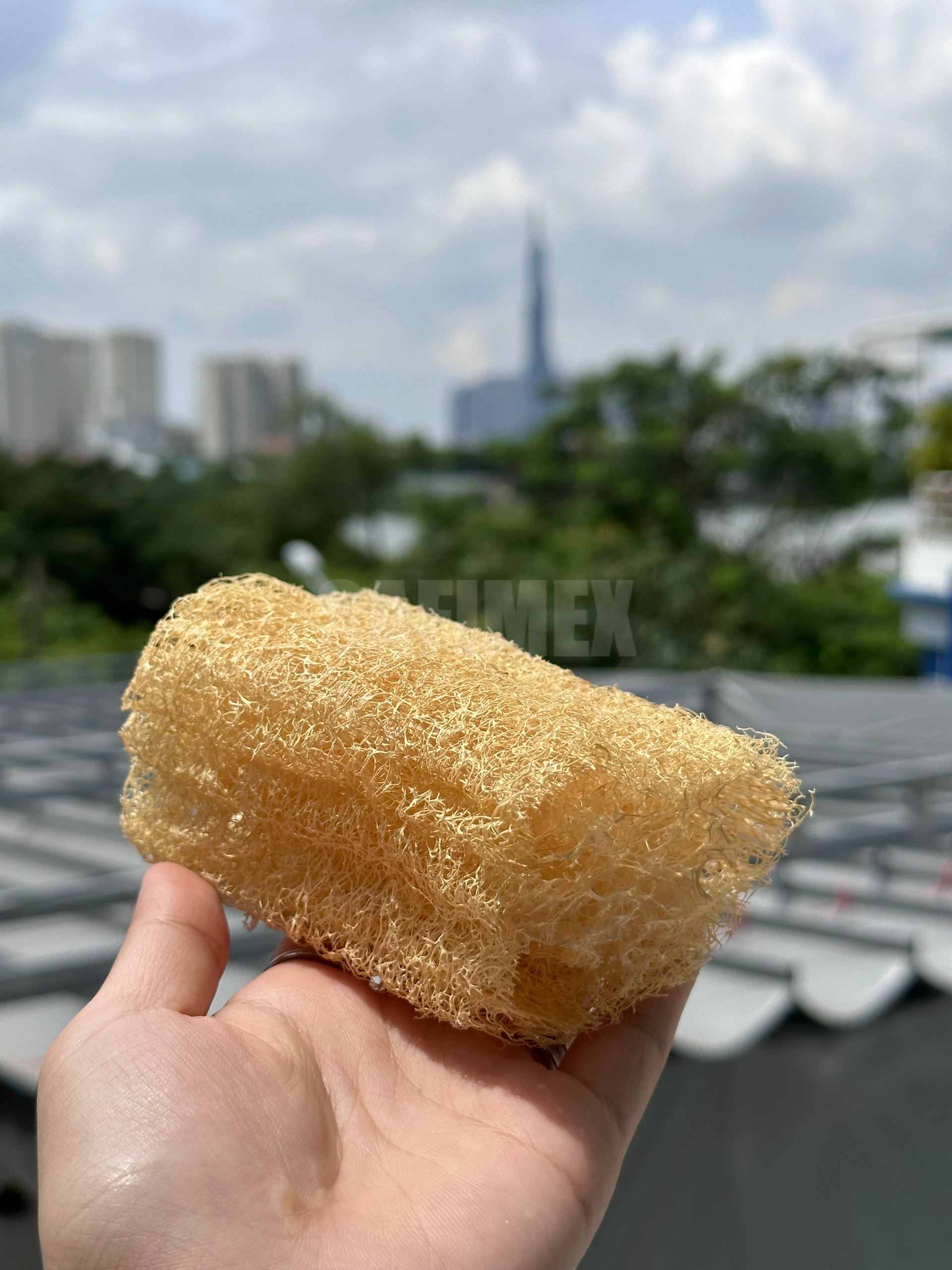 10-12cm2.jpg