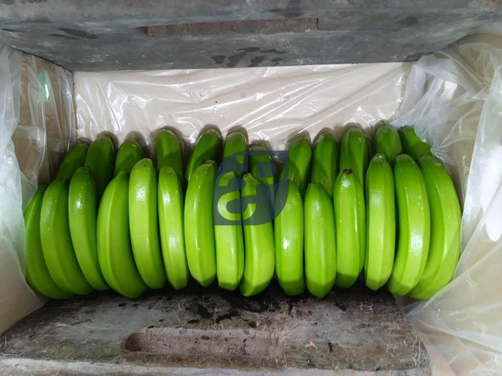 Bananas #7 - Standard & Partners.jpg