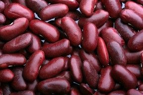 dark red kidney.jpg