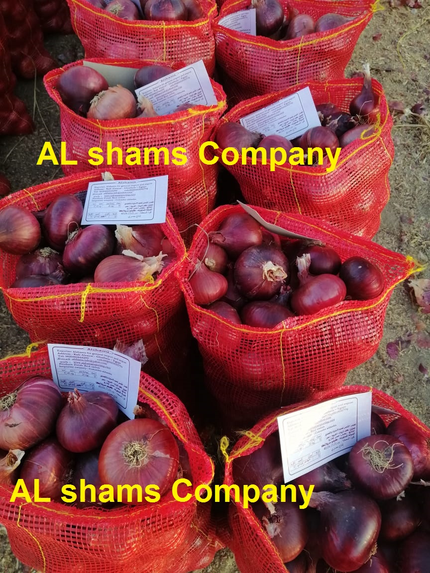 WhatsApp Image 2019-10-02 at 7.00.37 AM.jpeg