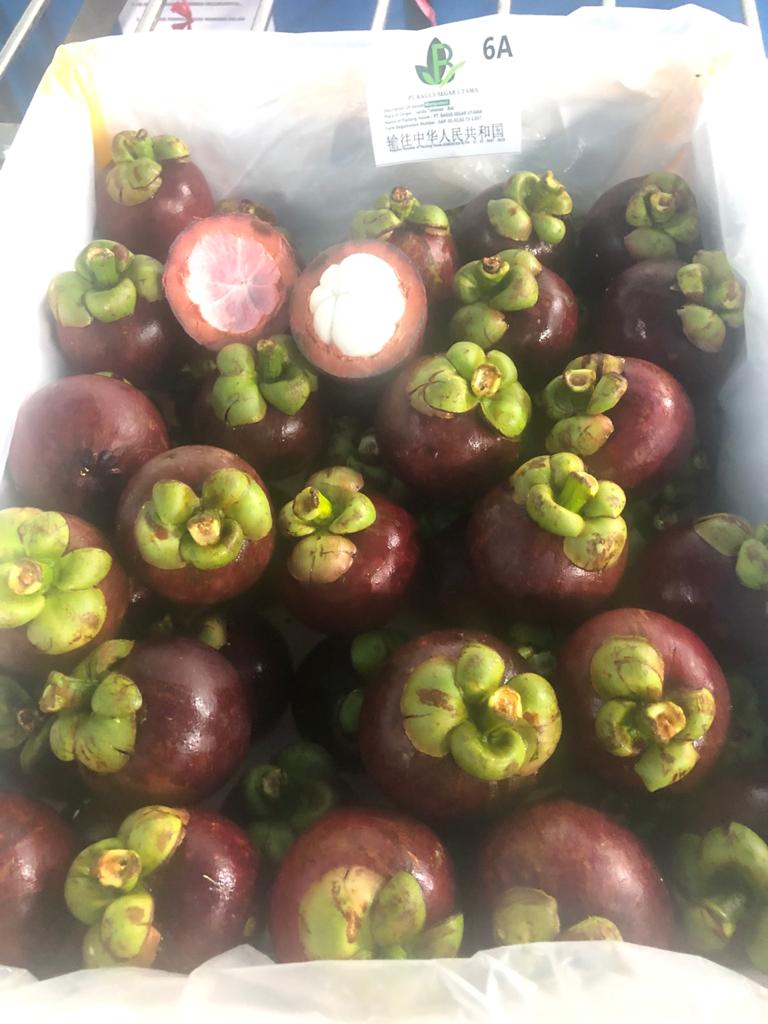 WhatsApp Image 2021-05-21 at 14.34.26.jpeg