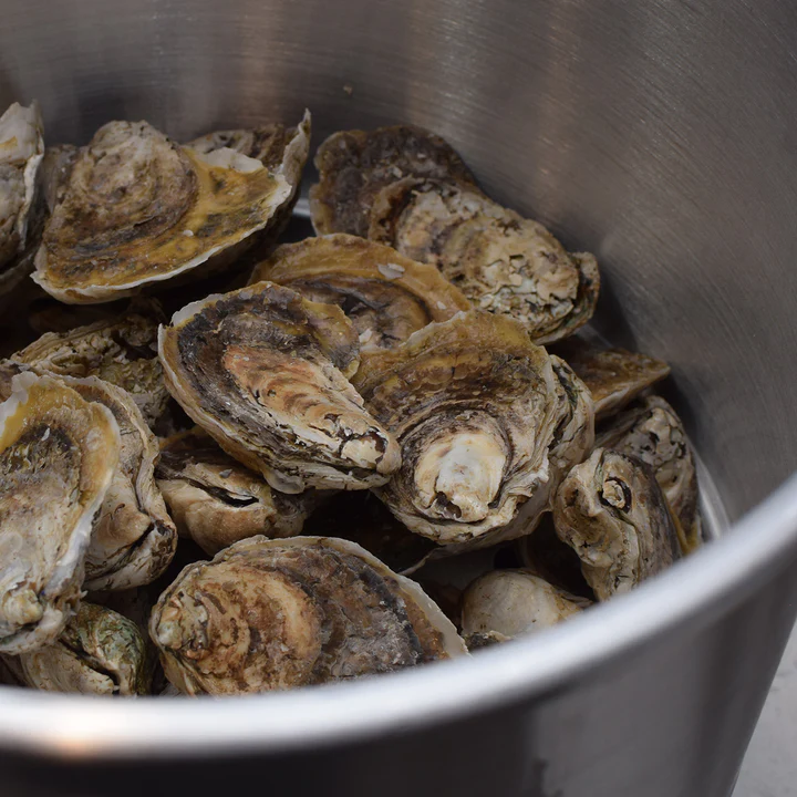 oyster-sampler-c_720x.webp