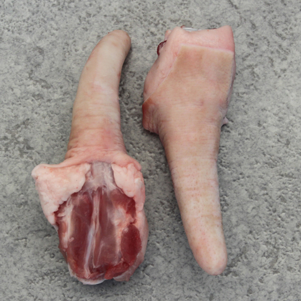 rabos-cortos.jpg