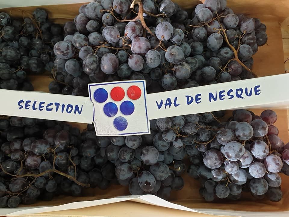 VIVECO-ALIMENTATION-GENERALE-EPI5.jpg