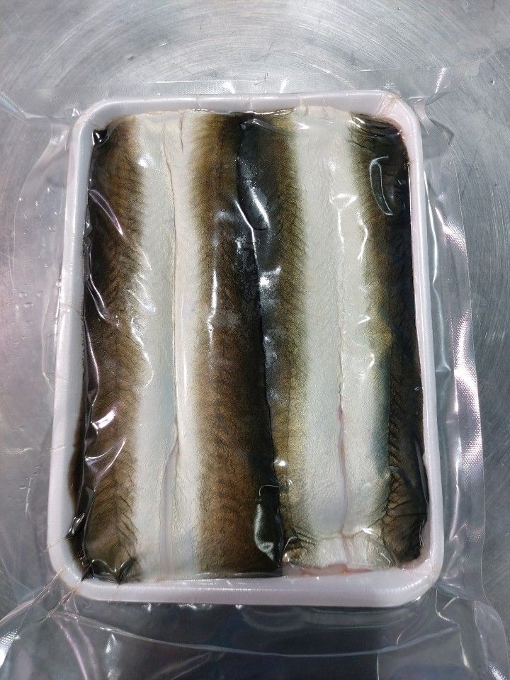 Freshwater eel_Fillet.jpeg