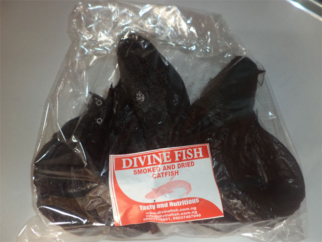 catfish_22.jpg