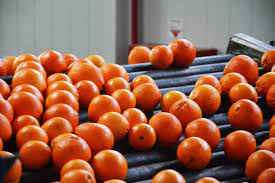 Frusoal - Oranges