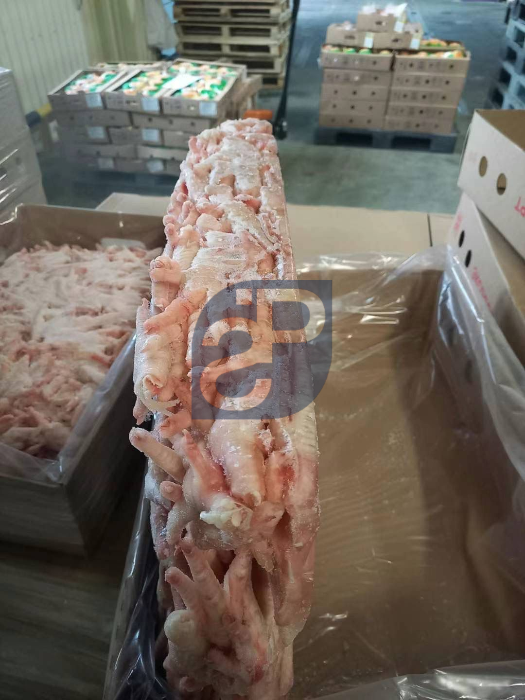 Chicken Feet - Standard & Partners #4.jpg
