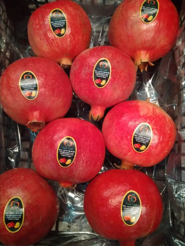 pomegranates-Egypt-Export-GreenAGro.jpg
