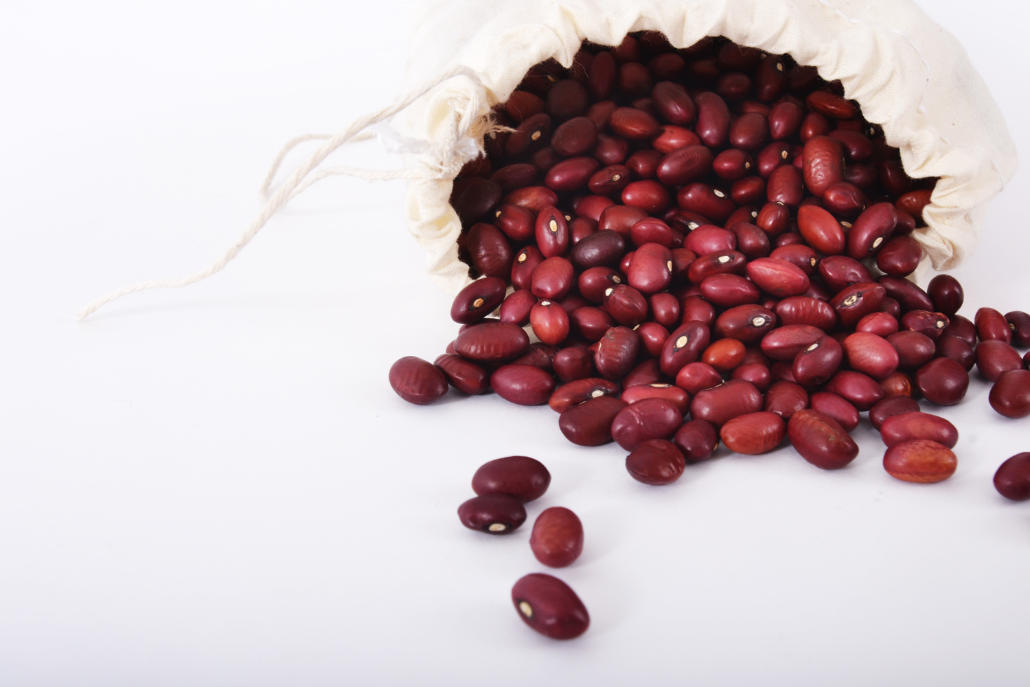 Bayside Best Beans, Llc