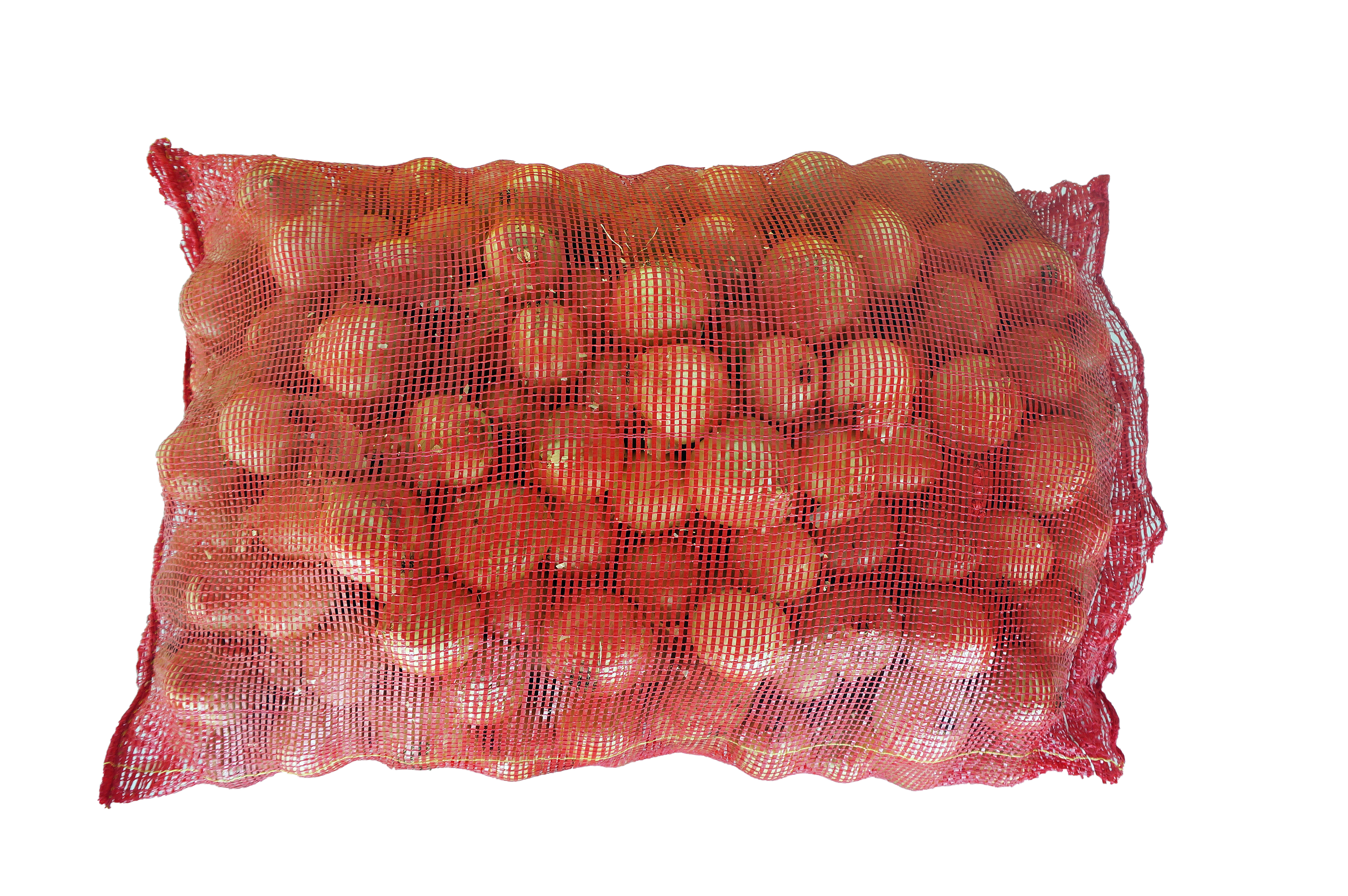 Onion-4.jpg