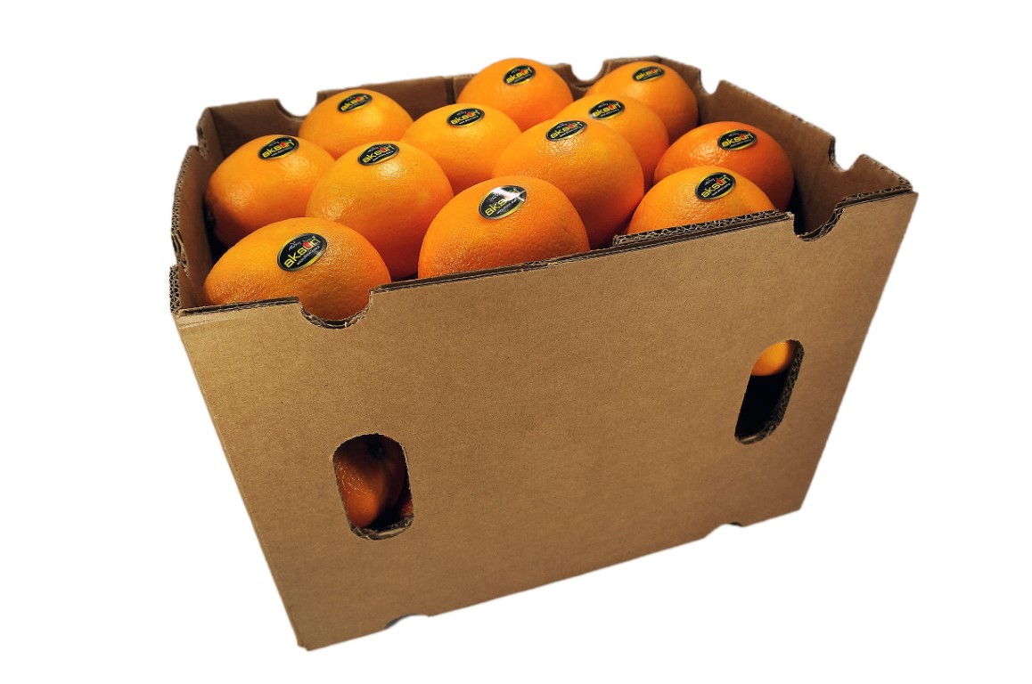 Orange Telescopic 48_1.jpg