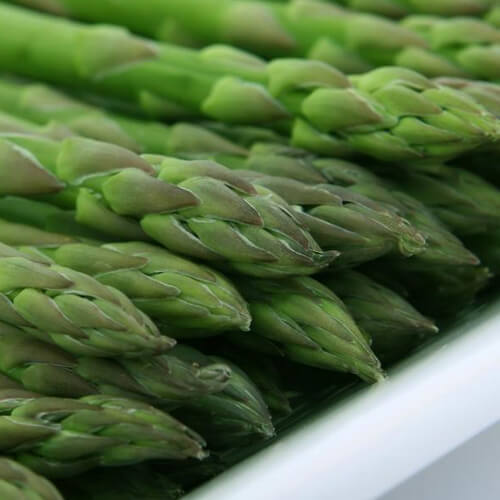 asparagusgreen.jpg