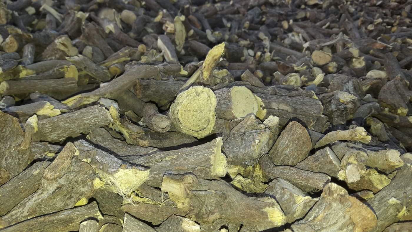 Liquorice root (4).jpeg