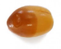 Khalas-Half-Rutab-Date-2020-200x161.jpg