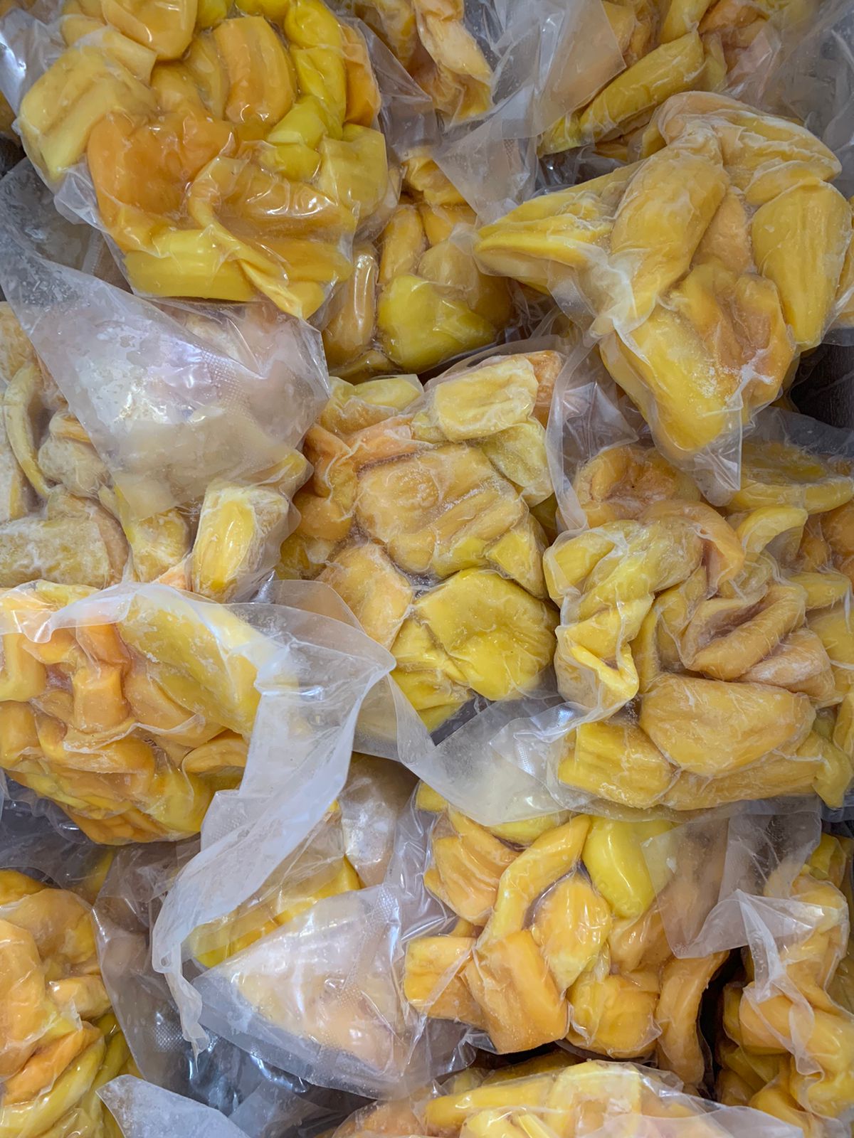 WhatsApp Image 2022-02-20 at 00.13.34.jpeg