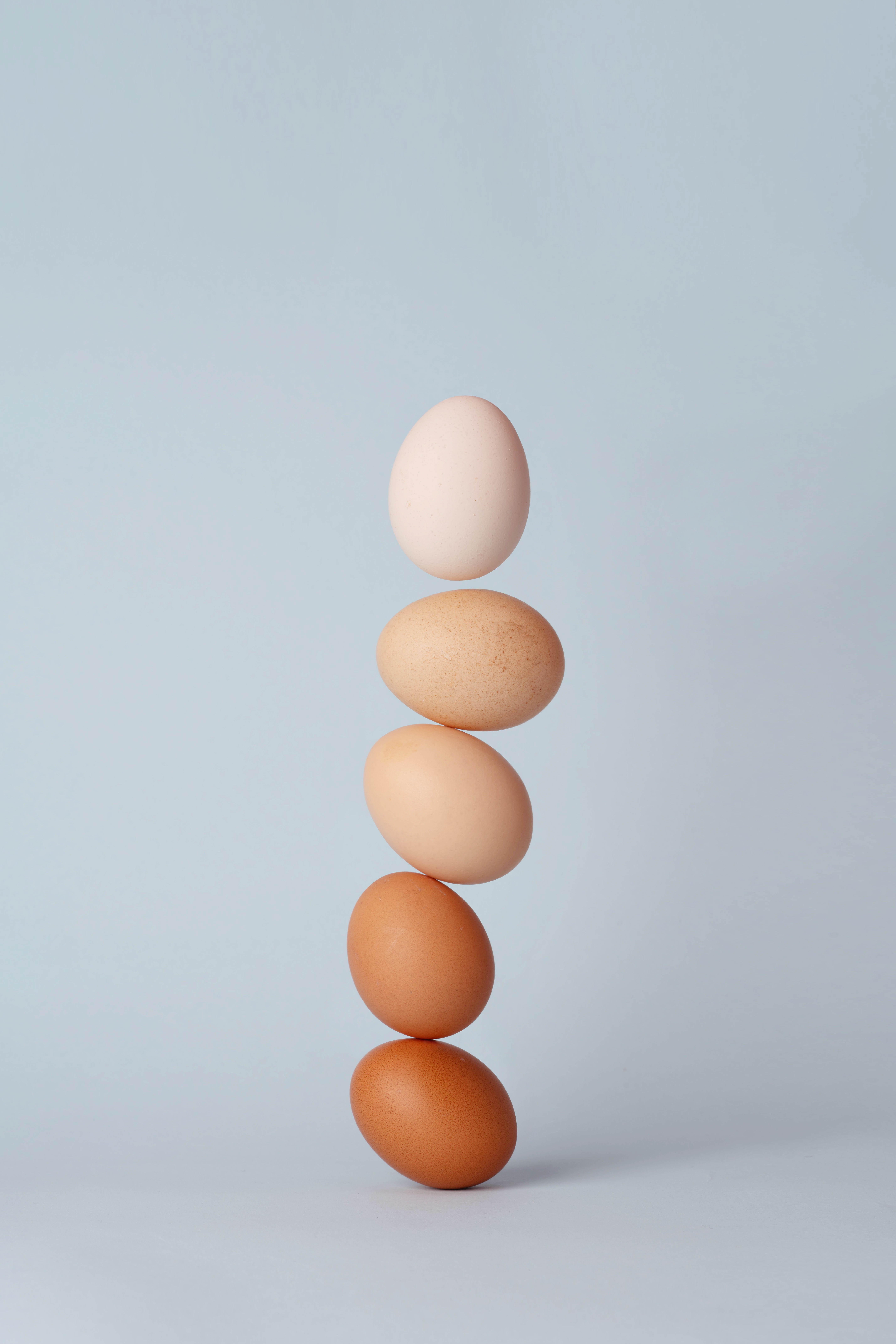 EXPORTERA EGGS UNSPLASH.jpg