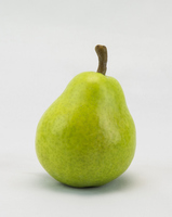 Pear.jpg