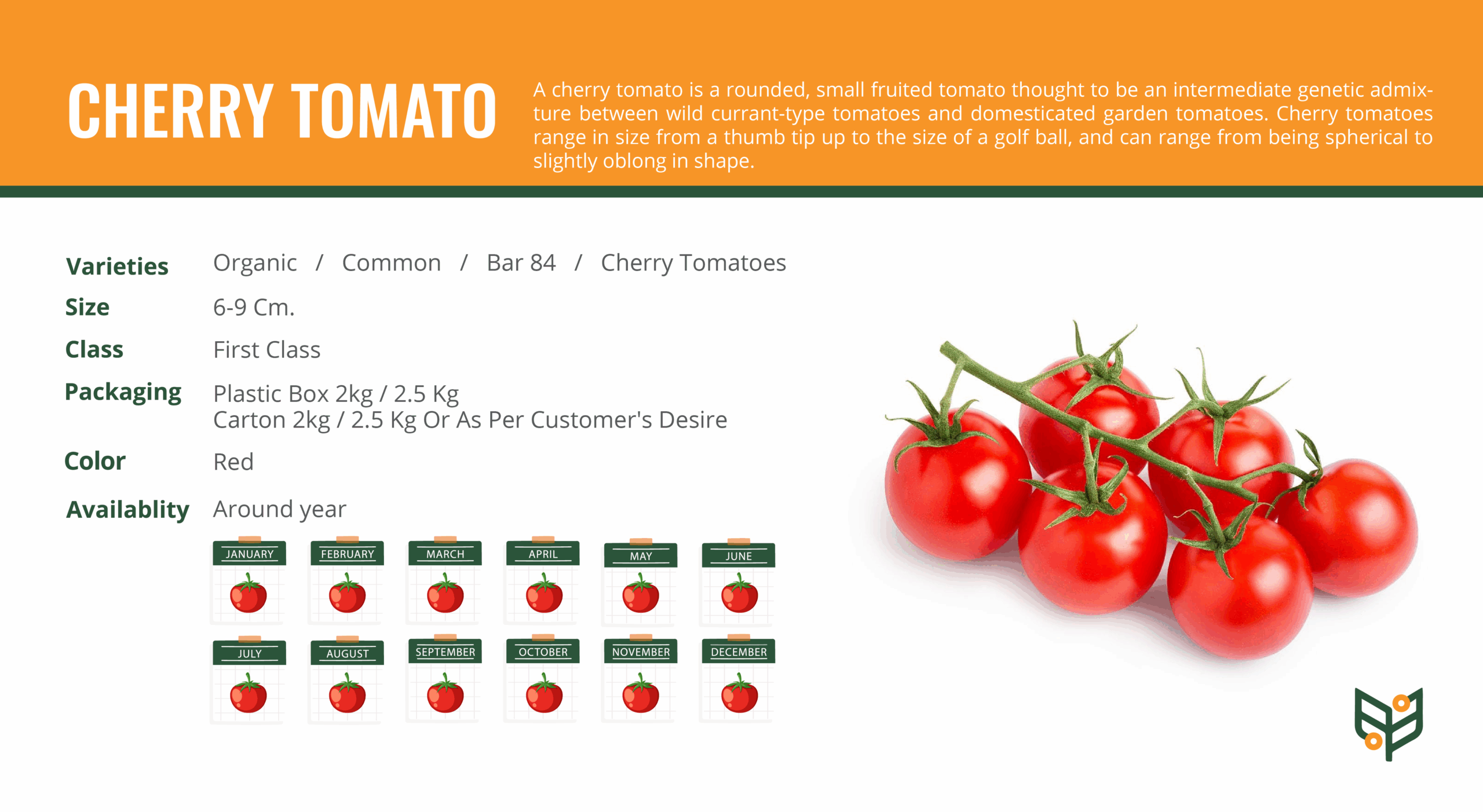 VEGGIES_CHERRY-TOMATO-scaled.png