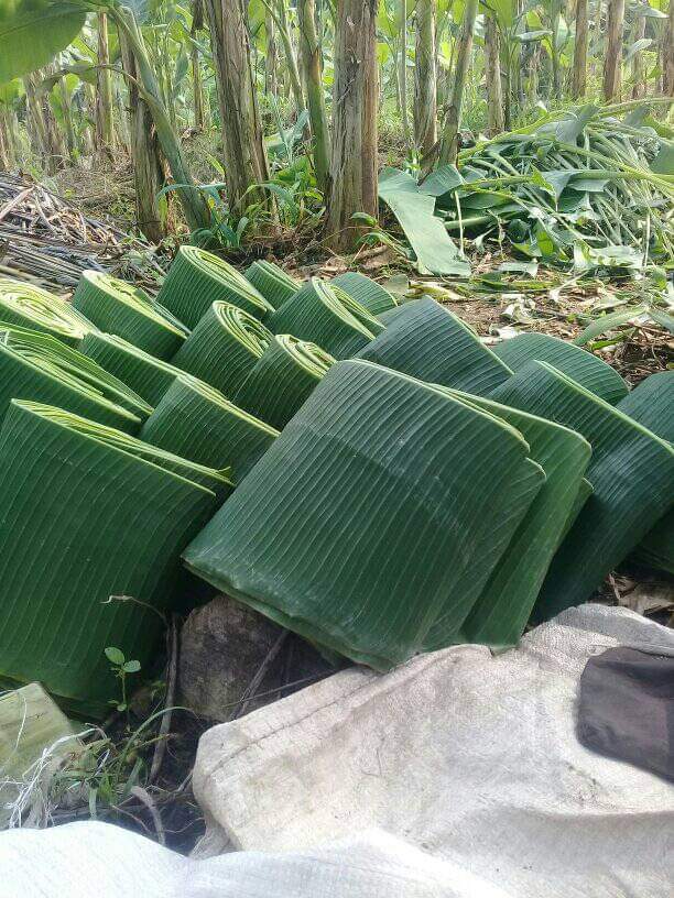 banana_leaf_pisang_batu_jonggol_4.jpg