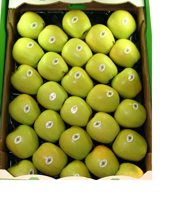 golden z naklejka w kartoniku.png