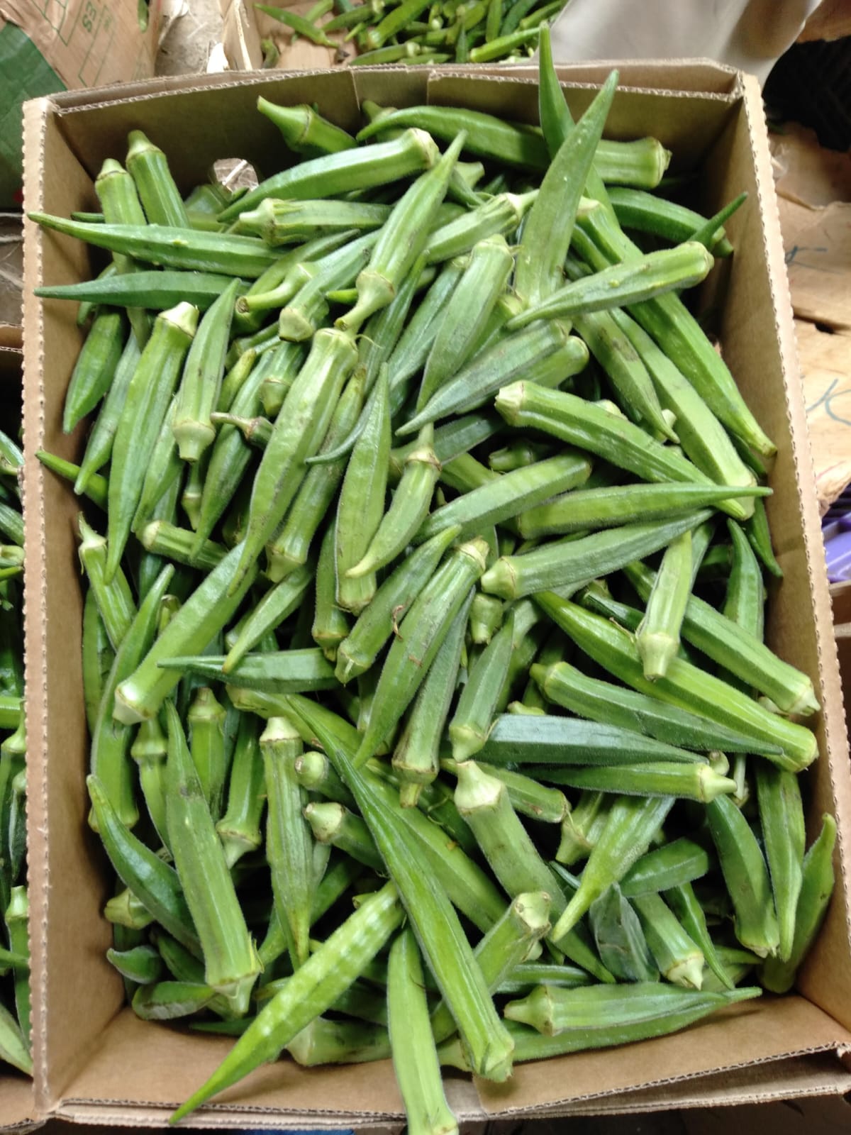 Okra_Veg_Kenya#kodra-export_2JPG.JPG
