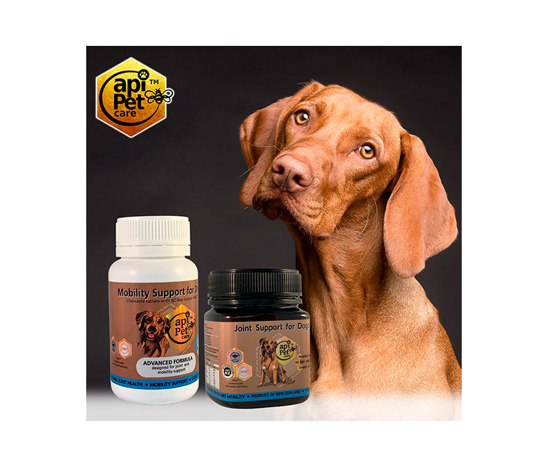 products-for-Dogs-group-2.jpg