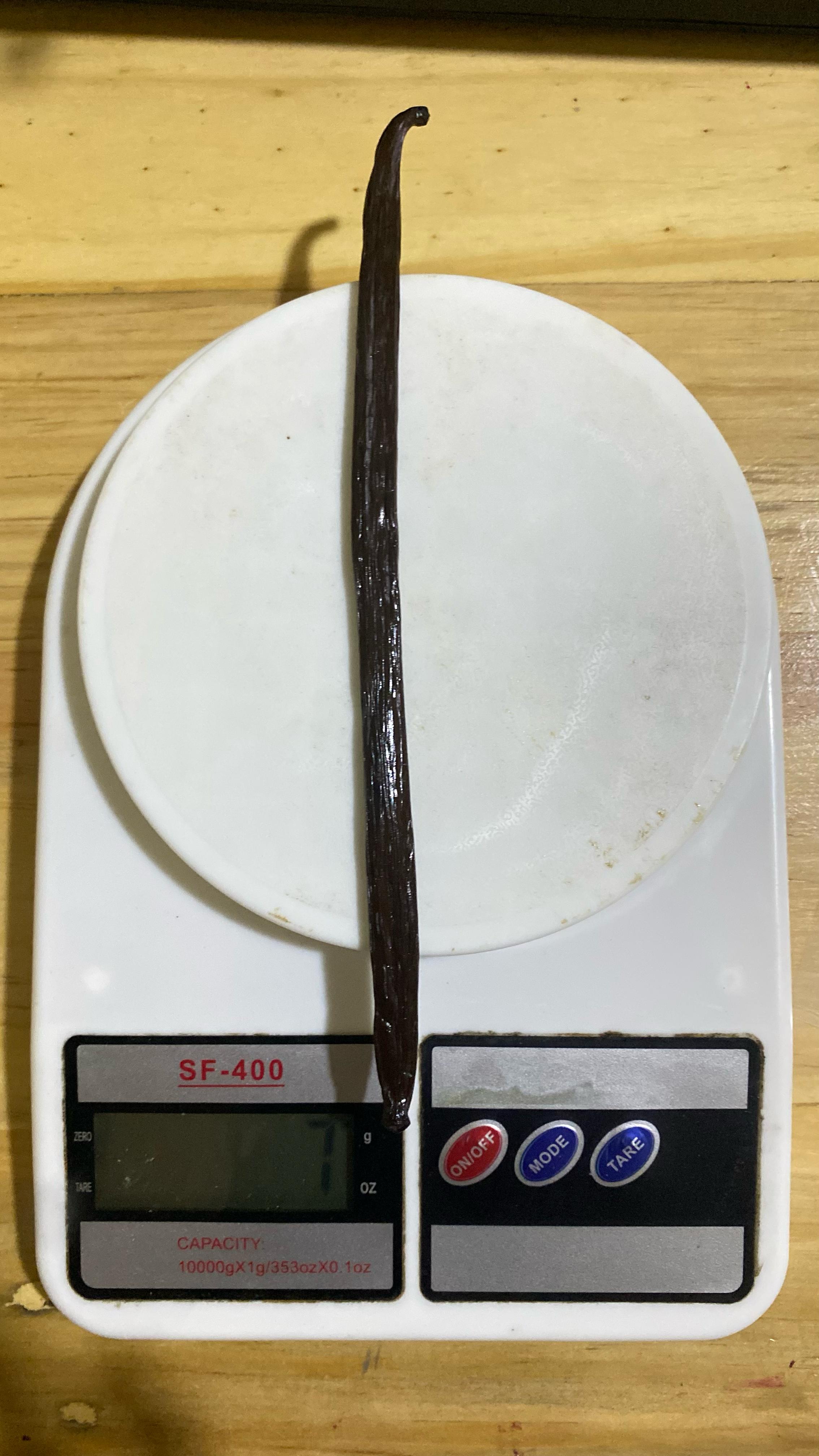 Gramasi Vanilla Planifolia Gourmet 20cm.jpg