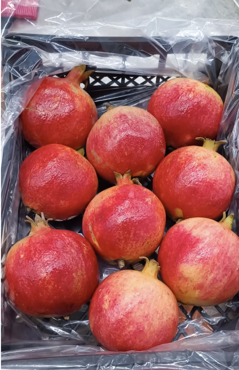 pomegranates-Egypt-Export-GreenAGro3.png