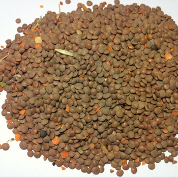 Red-lentils-with-husk-for-sale.jpg_350x350.jpg