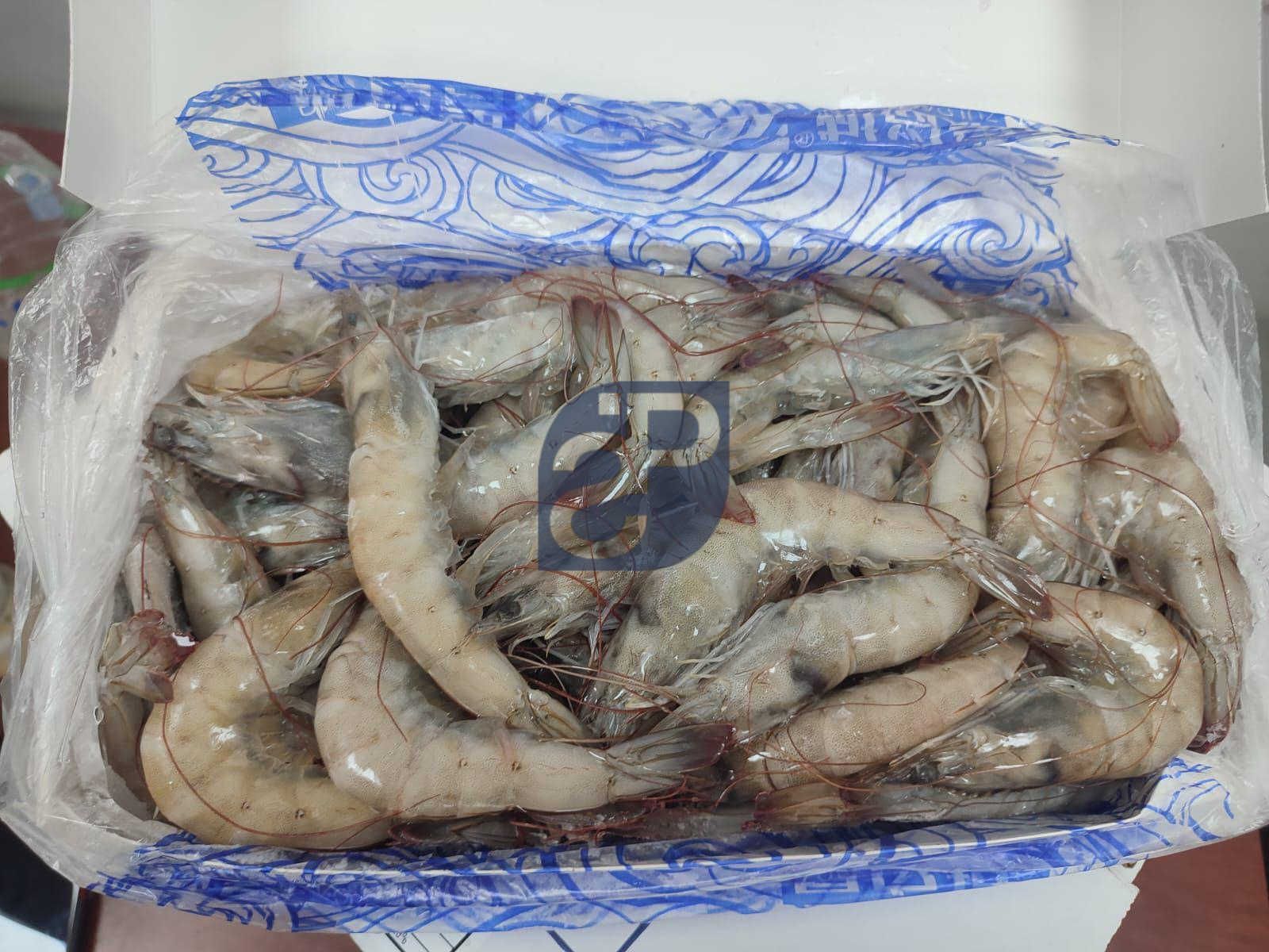 Vannamei Shrimp #7 - Standard & Partners.jpg