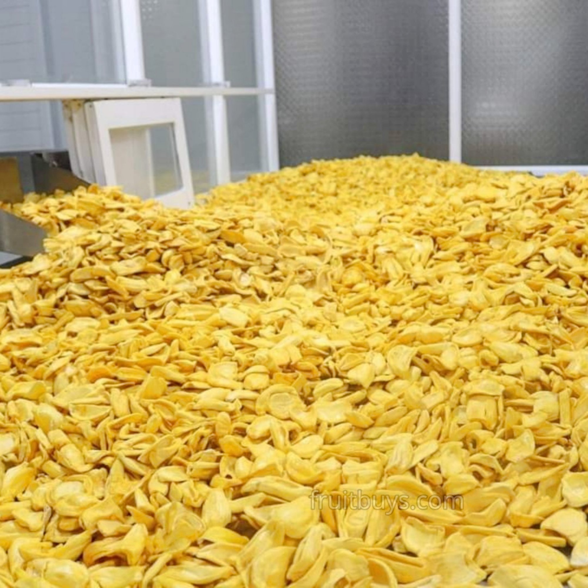Crispy Fruit-FruitBuys Vietnam-Jackfruit Chips (2).jpg
