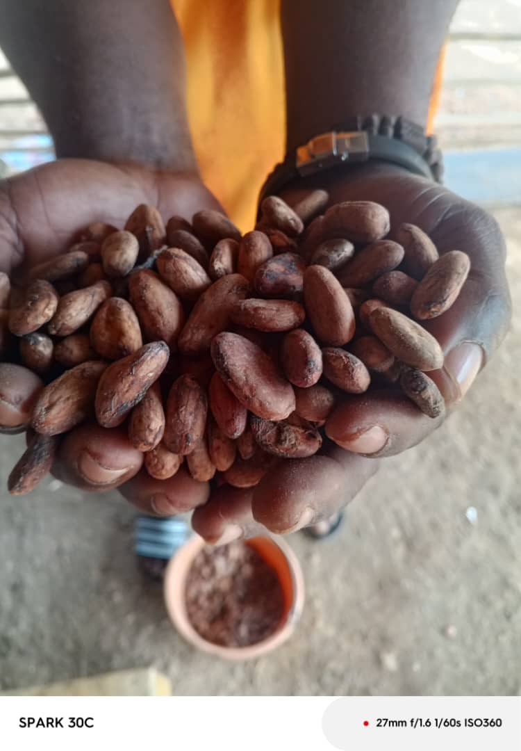 WhatsApp Image 2025-12-17 at 6.04.33 PM.jpeg