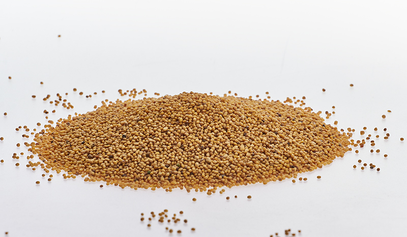 Горчица Желтая __ IMG_0695.jpg