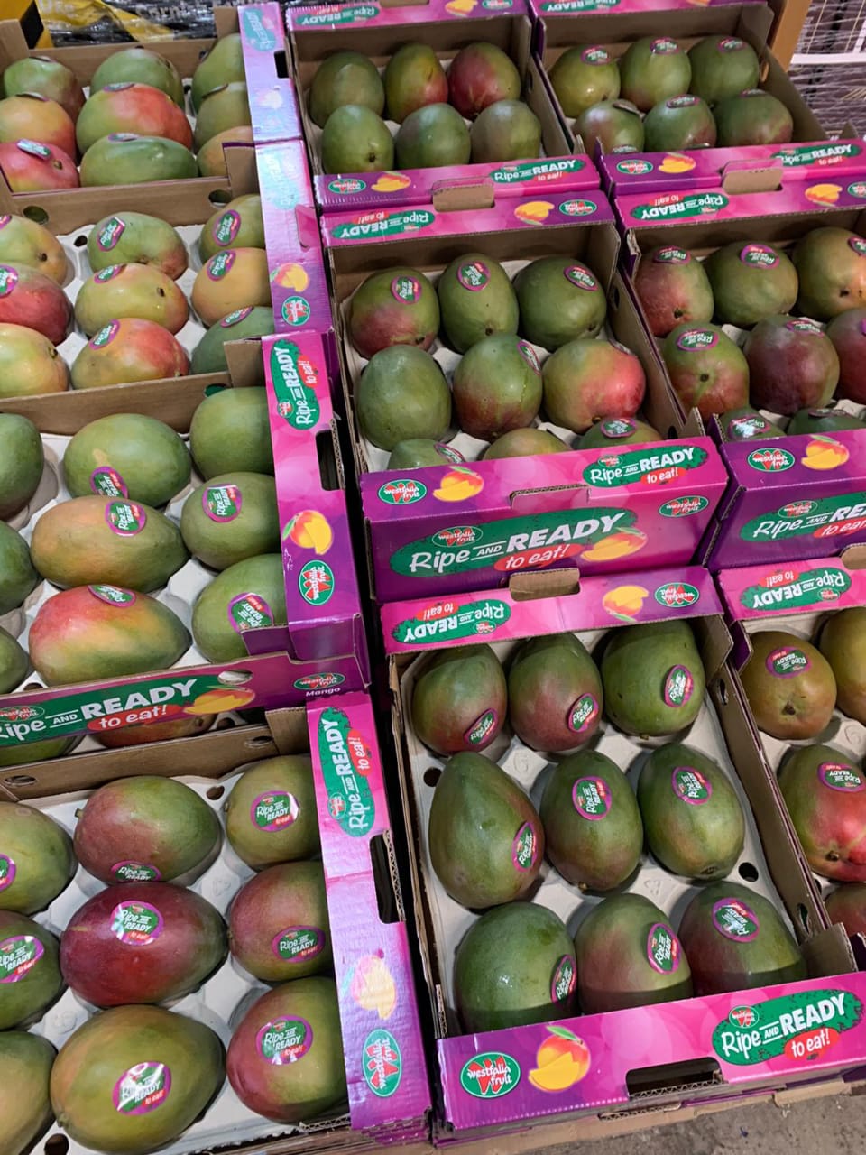 WhatsApp Image 2023-07-01 at 9.17.05 PM.jpeg