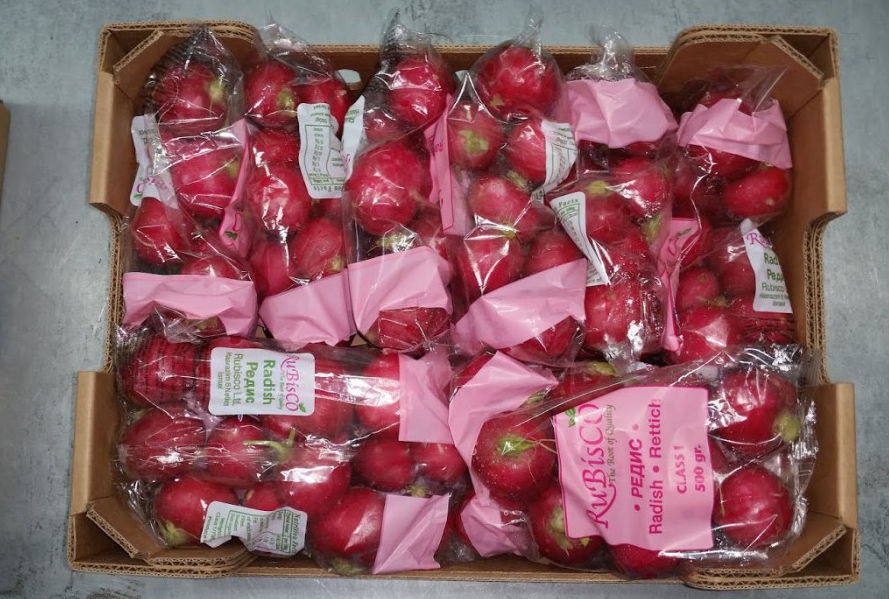 radish packaged.jpg