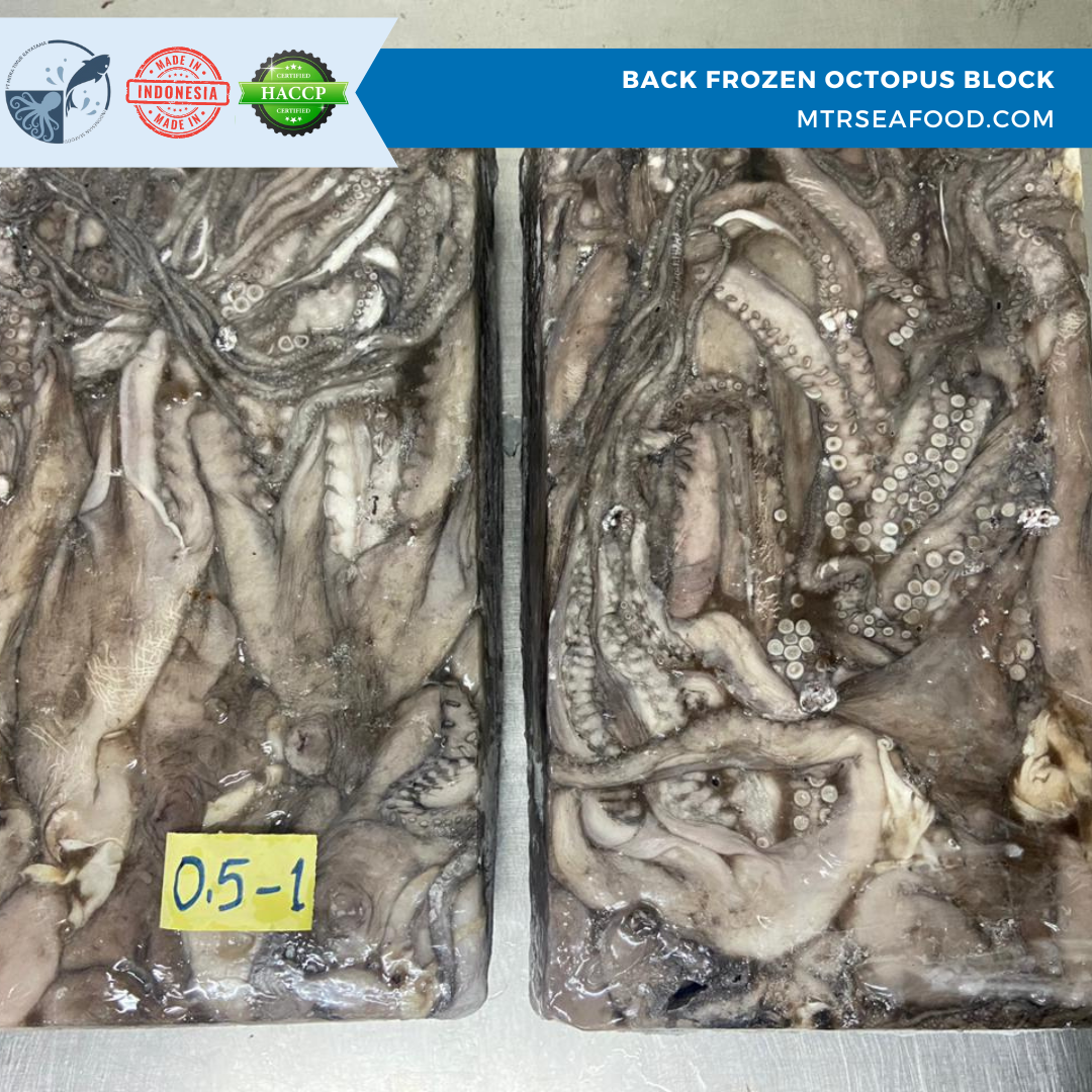FROZEN OCTOPUS BLOCK  MTRSEAFOOD.COM (2).png
