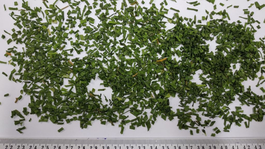 2019.10.31 CHIVE TUBULAR FOT.1-3.jpg