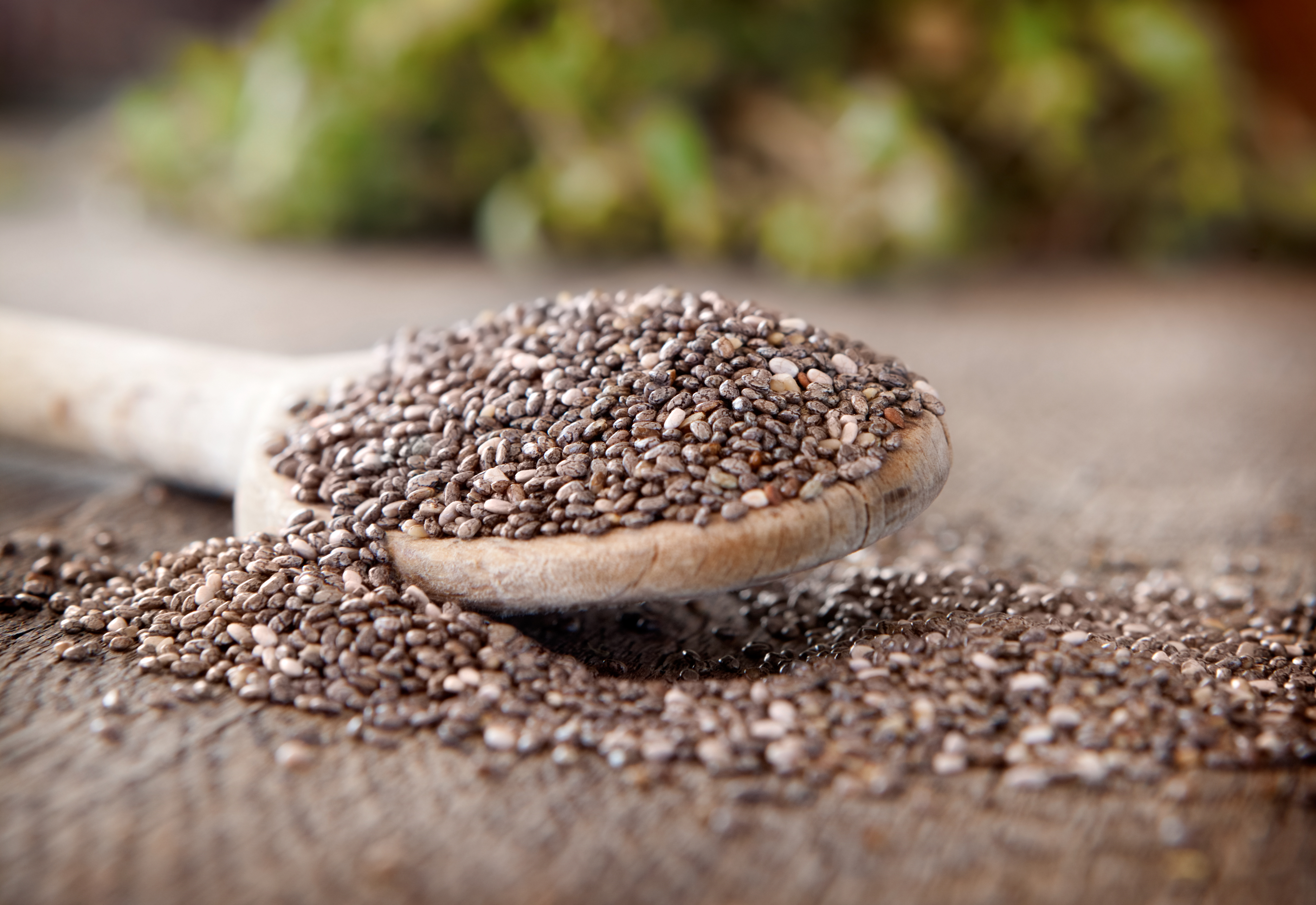 CHIA.jpg
